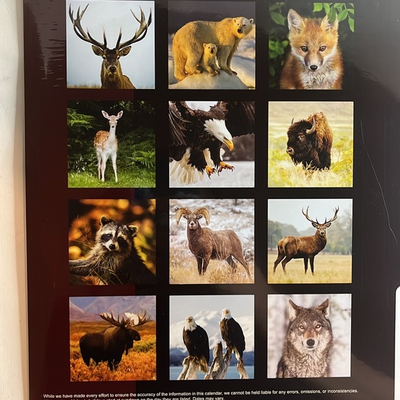 North America Wild Life 2025 12 Month Calendar NIP - Picture 3 of 16